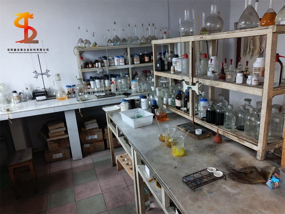 Professional large laboratory